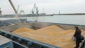 В Госдуме заговорили об отмене экспортных пошлин на зерно